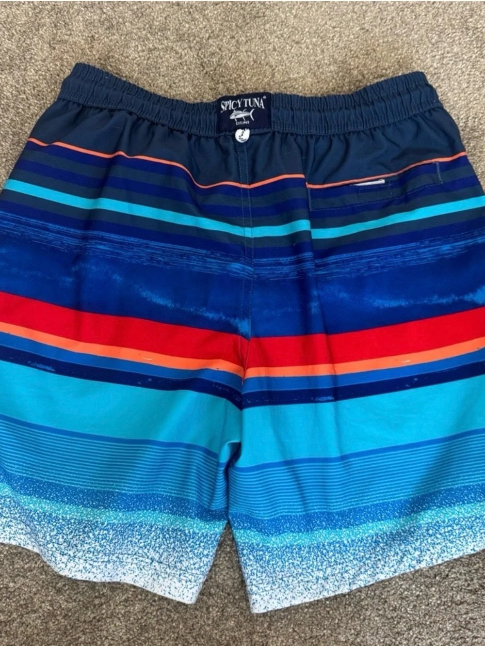 Spicy Tuna Men’s Swim Trunks Small Blue Multicolor Striped Board Shorts